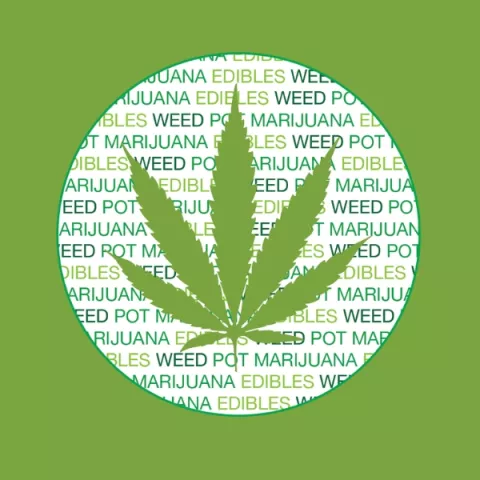 Cannabis Survey Banner Image