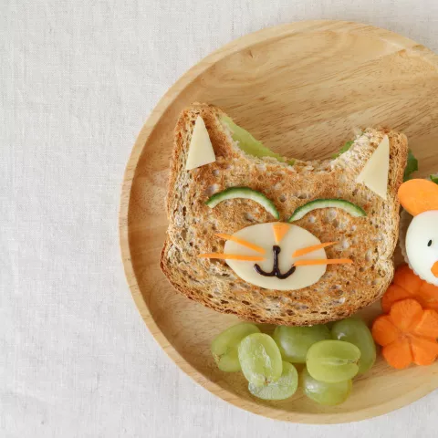 Cute sandwich shaped like a cat