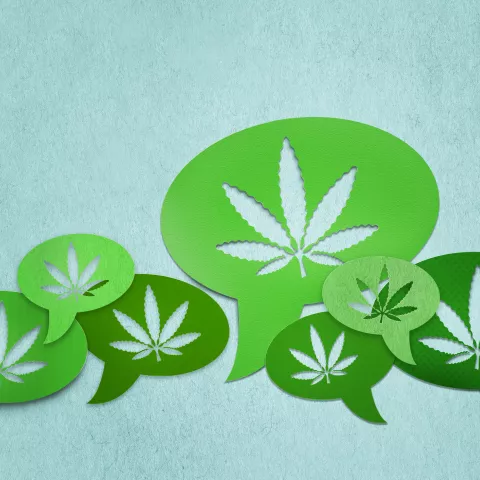 Graphic of multiple green speech bubbles with a cannabis leaf in each of them