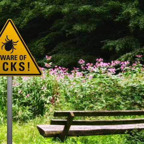 beware of ticks sign