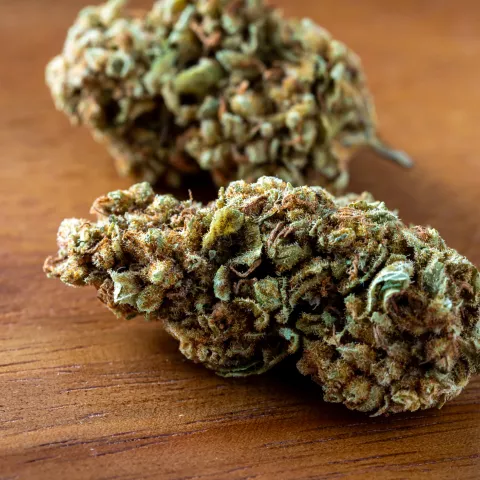 close-up of high-quality cannabis buds