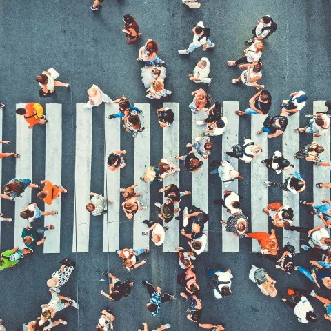 Overhead view of people walking across crosswalk