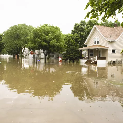 Flooded homes