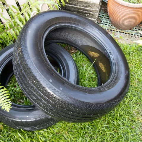 Old abandoned tyre collected still water after rain. 