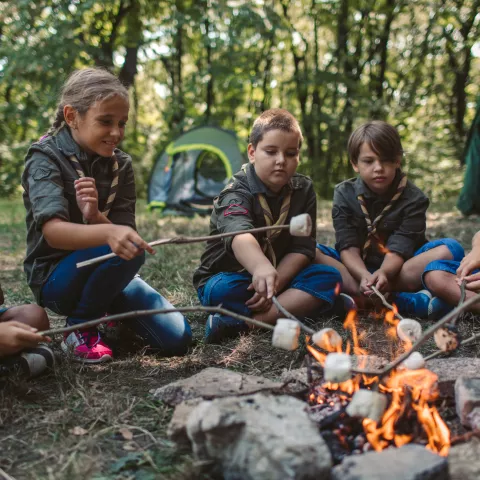 Group Of Scouts Roast Marshmallow Candies On Campfire In Forest