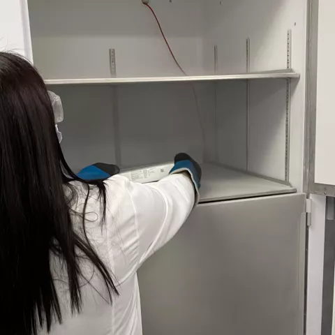 Nurse placing vaccines in fridge