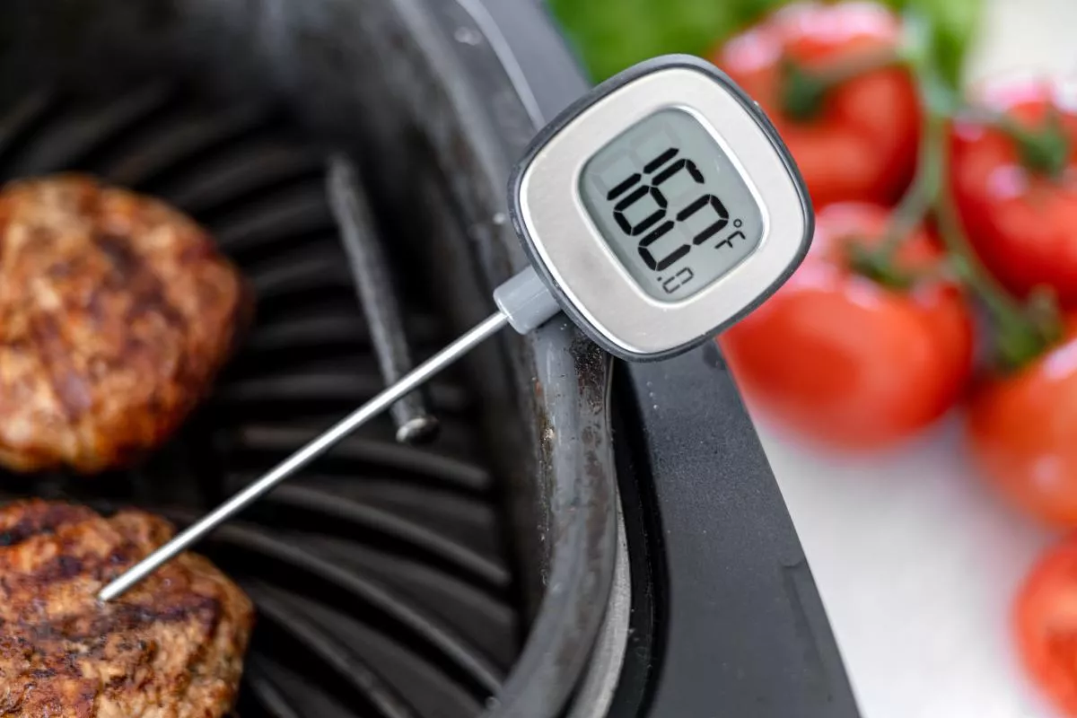 thermometer in meat