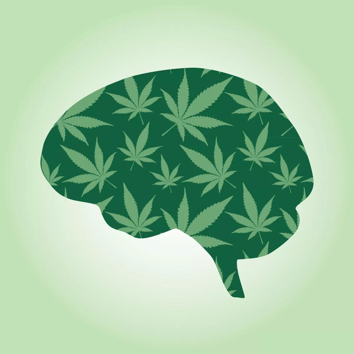 cannabis brain