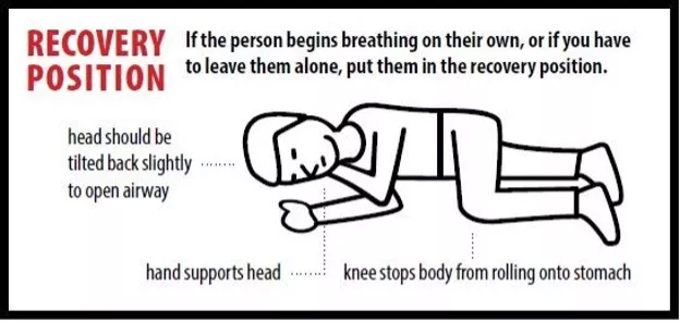 Illustration of recovery position