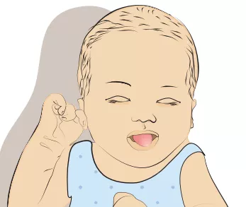 An illustration of a hungry infant rooting.