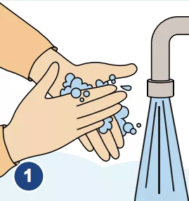 An illustration of hand washing.
