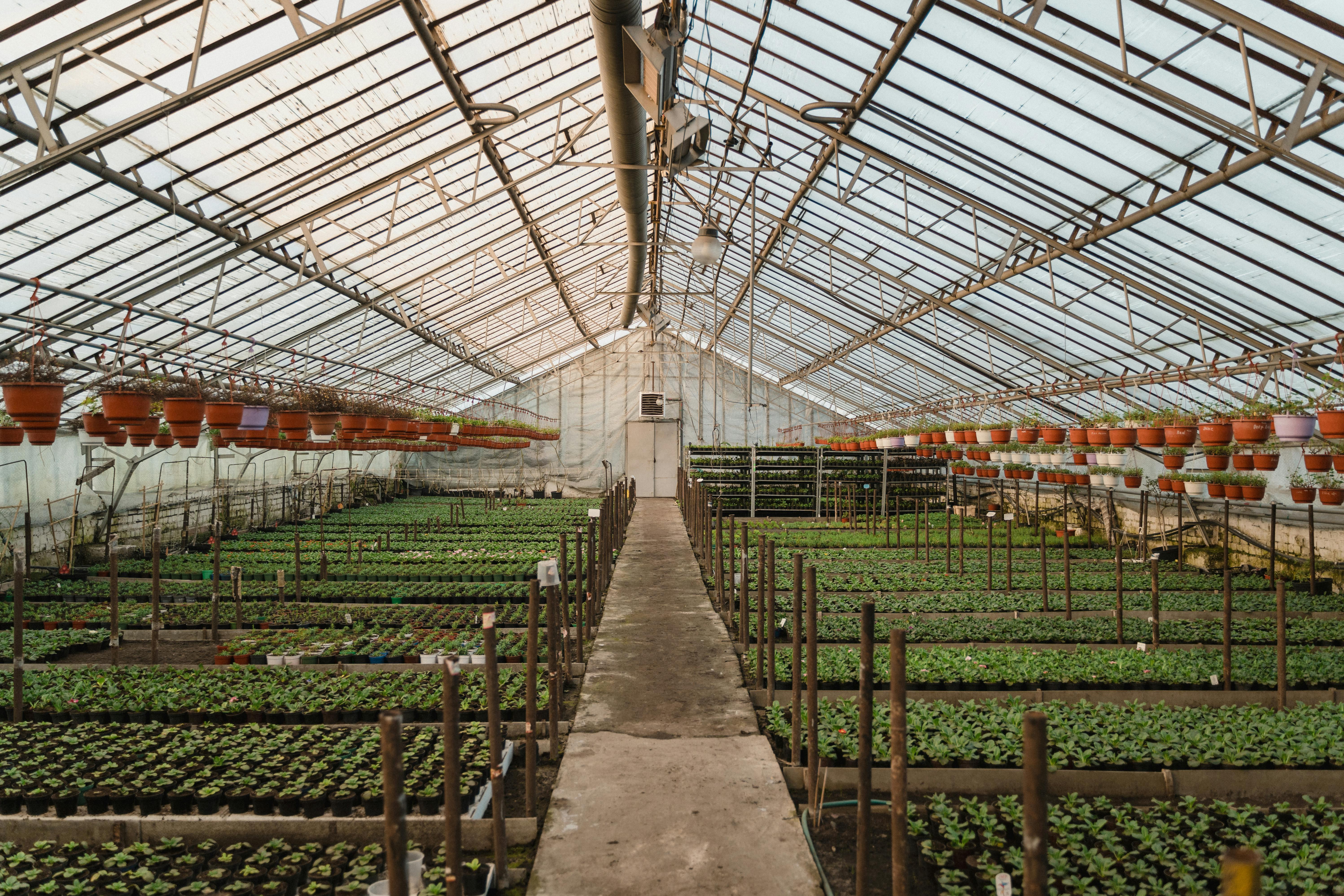 greenhouse