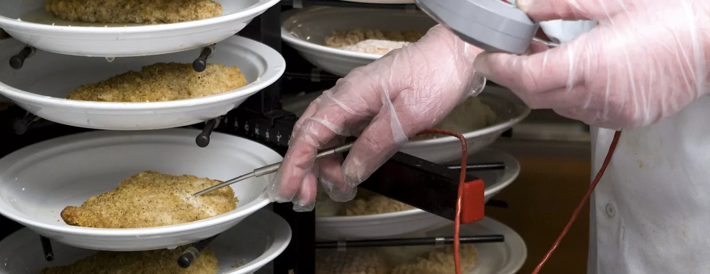 Chef checking temperature of meat with thermometer.