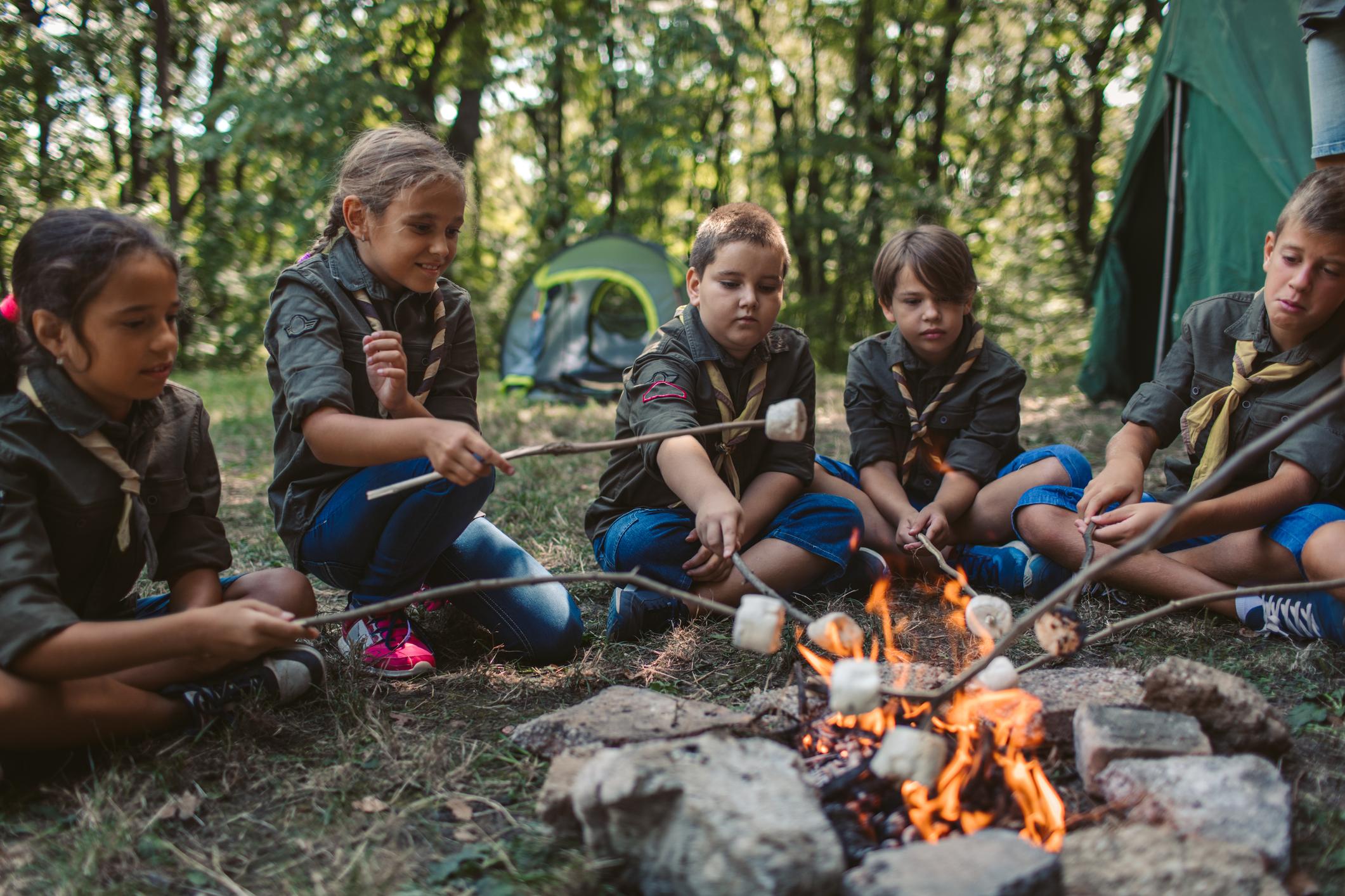 Group Of Scouts Roast Marshmallow Candies On Campfire In Forest