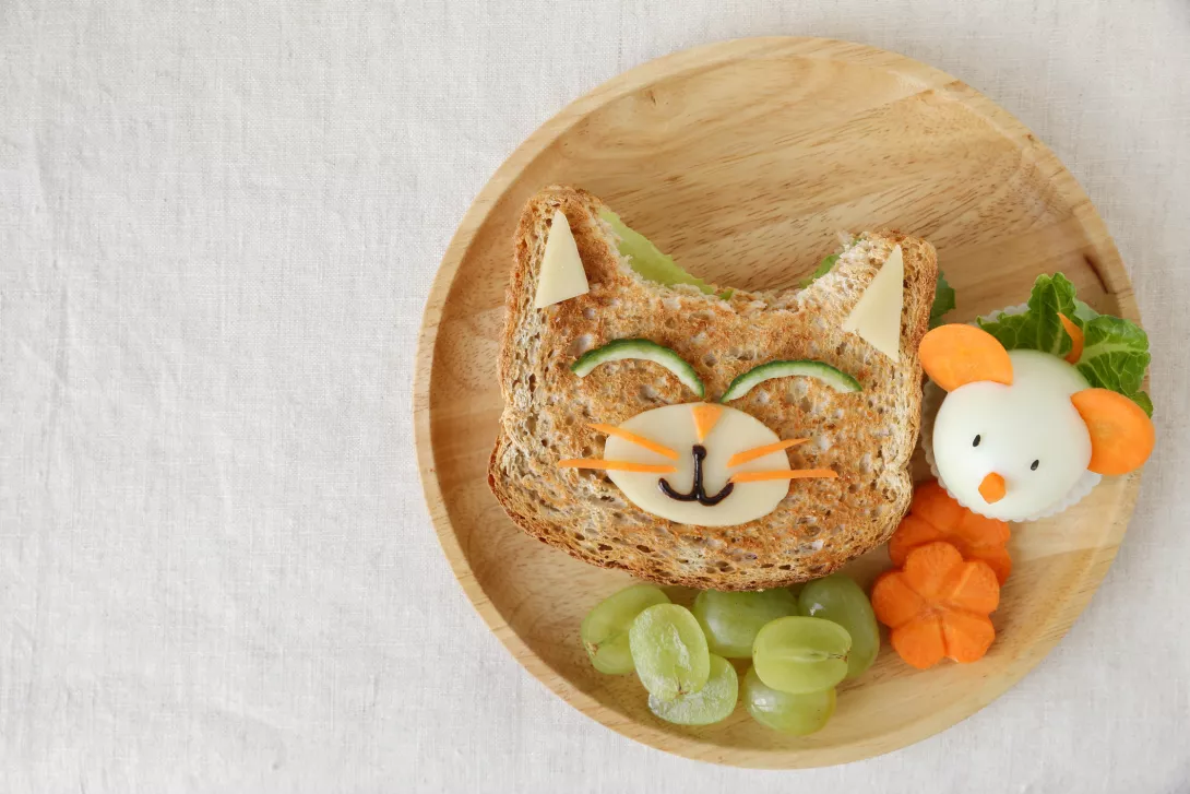 Cute sandwich shaped like a cat